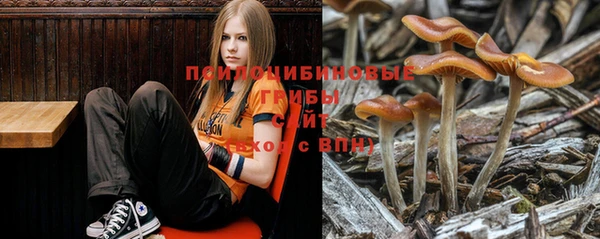 соль курить ск Володарск
