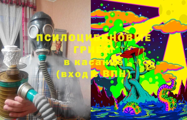 стафф Волосово