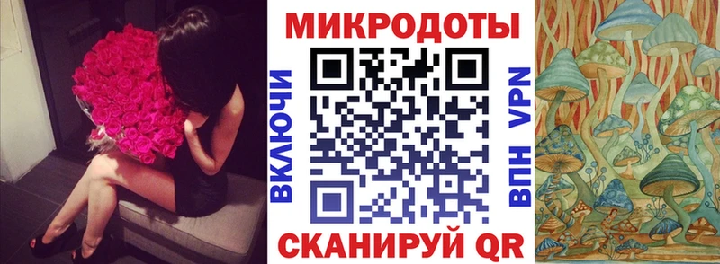 Купить закладки  Верея  Псилоцибиновые грибы Cubensis 